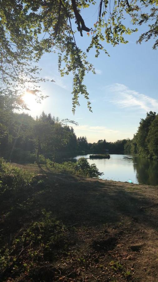 ชาโต เดอ บอนโว Bed & Breakfast Villeneuve-de-Marc ภายนอก รูปภาพ