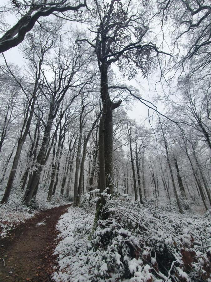 ชาโต เดอ บอนโว Bed & Breakfast Villeneuve-de-Marc ภายนอก รูปภาพ